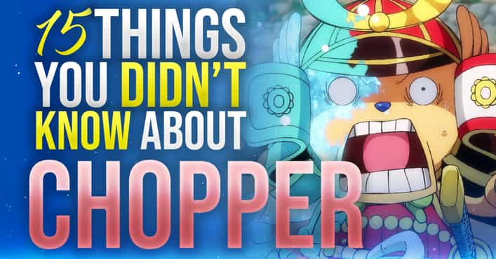 Anime Lover — Facts & Trivia About Tony Tony Chopper