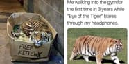 Memes Del Tiger