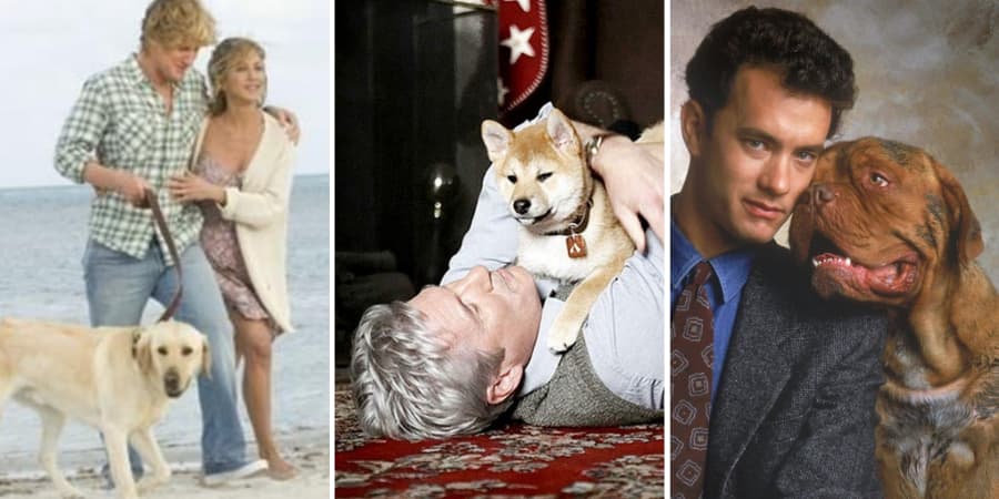 The 25 Best Movies Like 'A Dog's Purpose', Ranked By Fans
