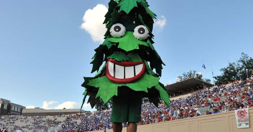 College Football Mascots Who Should Be Punched In The Face