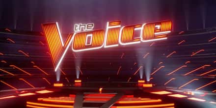 The Best 'The Voice' Winners, Ranked By Fans