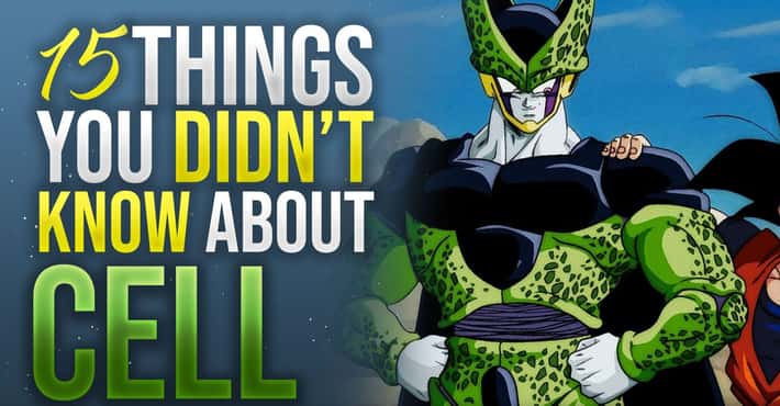 Things You Didn't Know About Cell