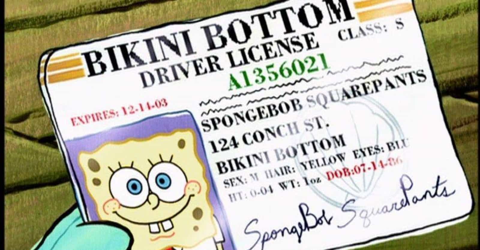 Small Details From SpongeBob That Prove It's Way More Clever Than We Remembered