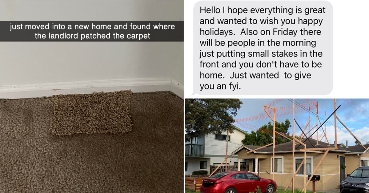People Are Sharing The Mildly Infuriating Things Their Landlords Have ...