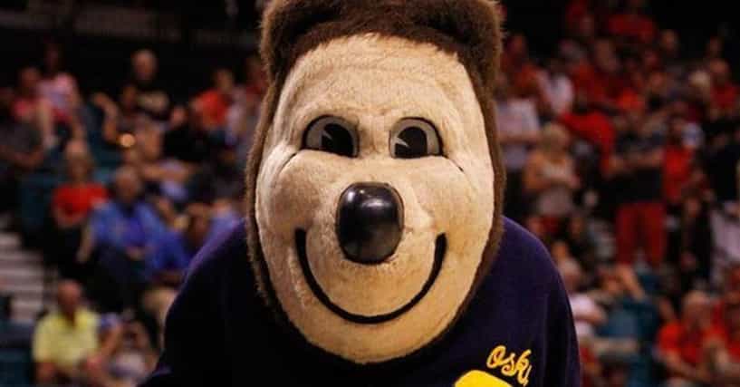 Golden Bears Mascot Schools | List of Schools with Golden Bears as