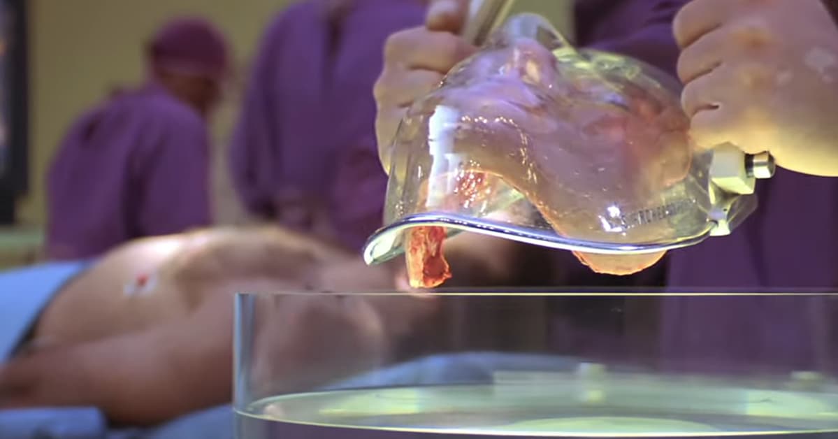 Movies With Over-The-Top Scenes In Which Characters' Faces Are Torn, Peeled, Or Cut Clean Off