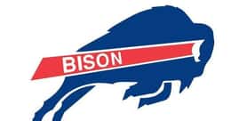Bison Mascot School List