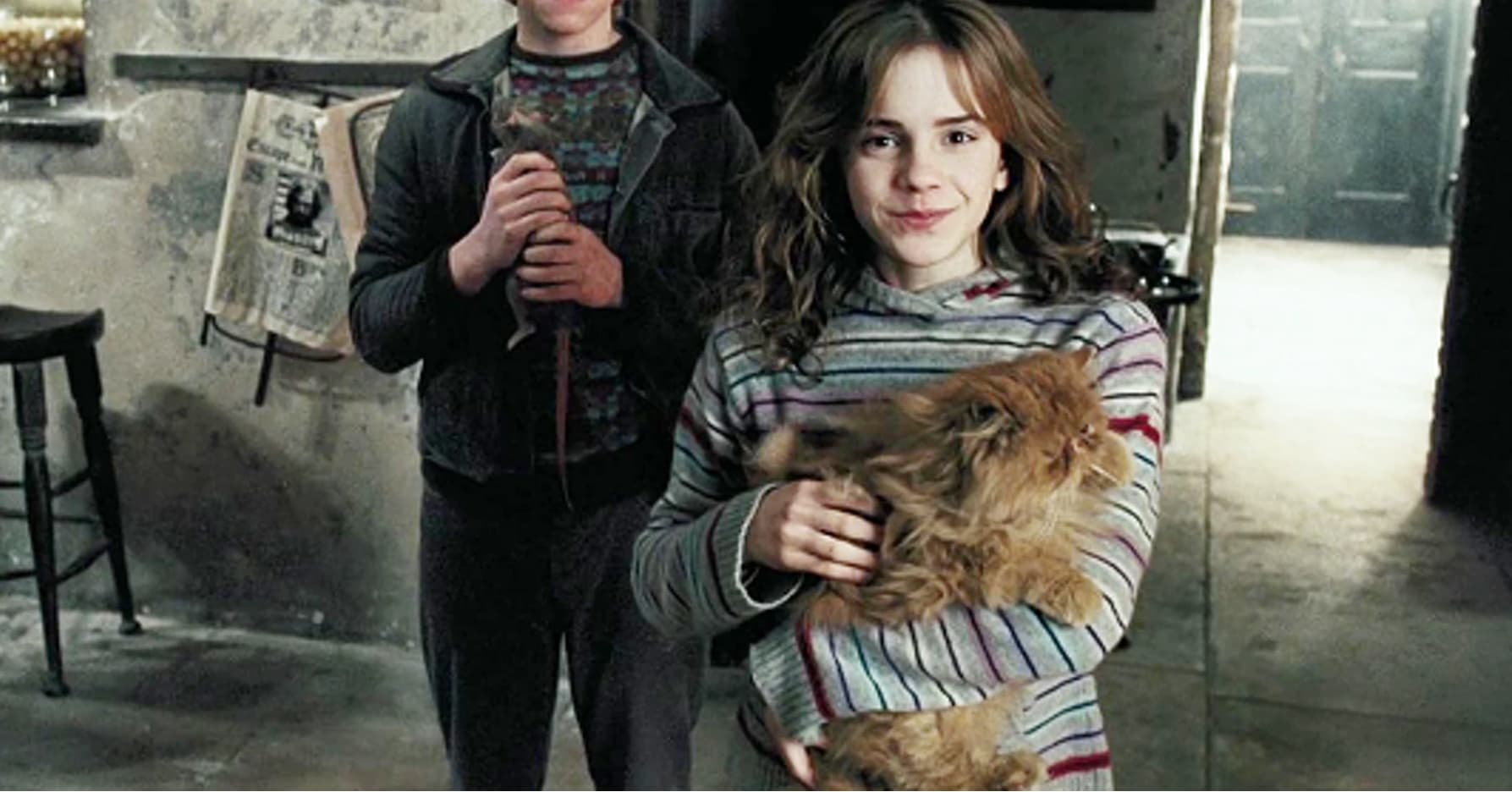 All The Harry Potter Pets, Ranked