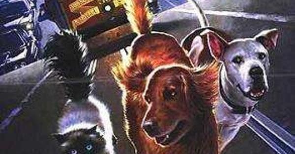 Homeward Bound II Lost In San Francisco Cast List Actors