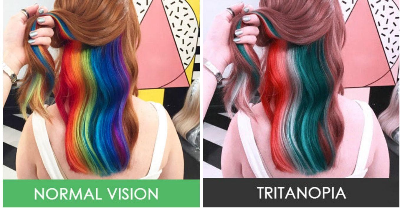 Photos That Show How People With Color Blindness See The World