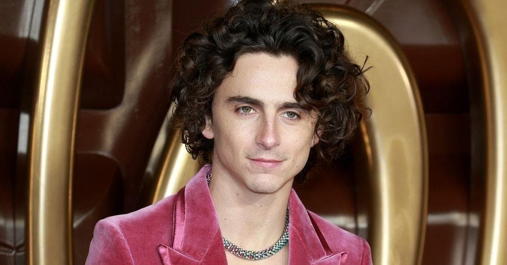 Timothée Chalamet's Relationship History: Everyone The Actor Has Dated