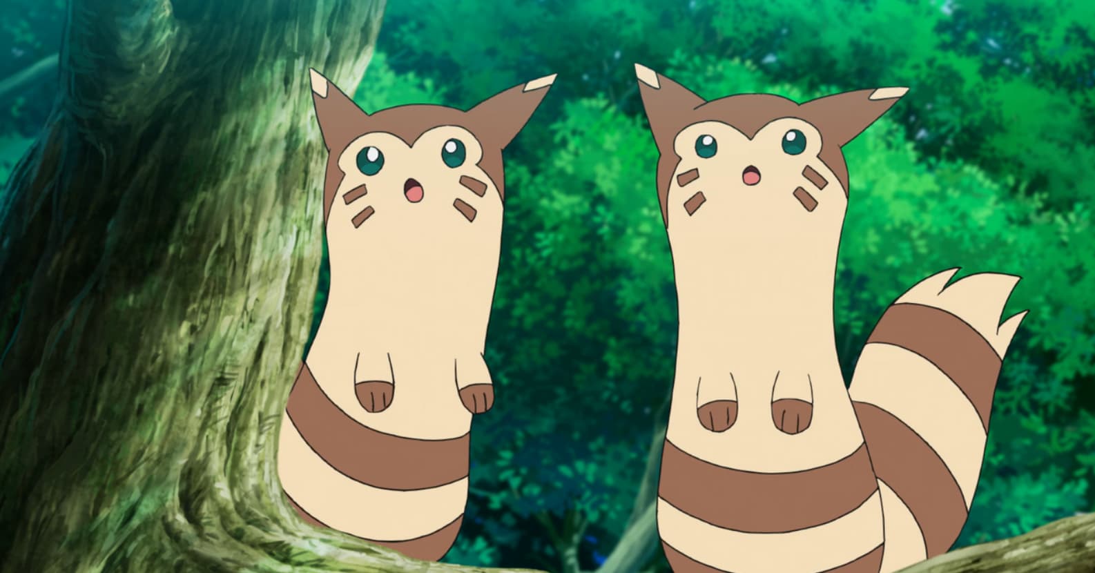 The 20+ Best Furret Nicknames, Ranked By Pokémon Fans
