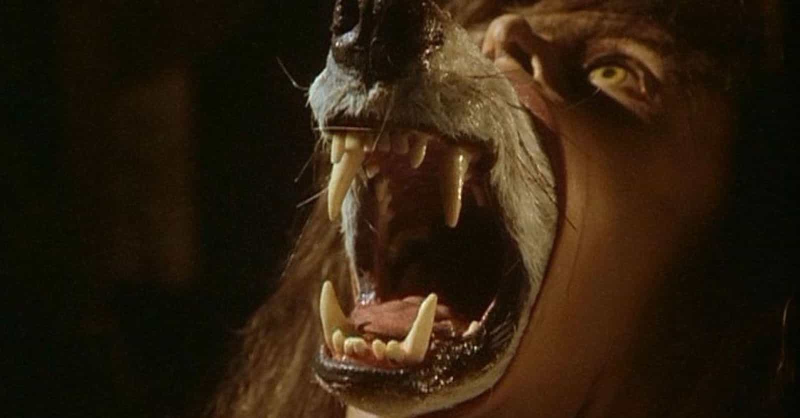 Werewolf Movies That Aren’t Really About Werewolves