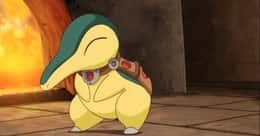 The Best Cyndaquil Nicknames