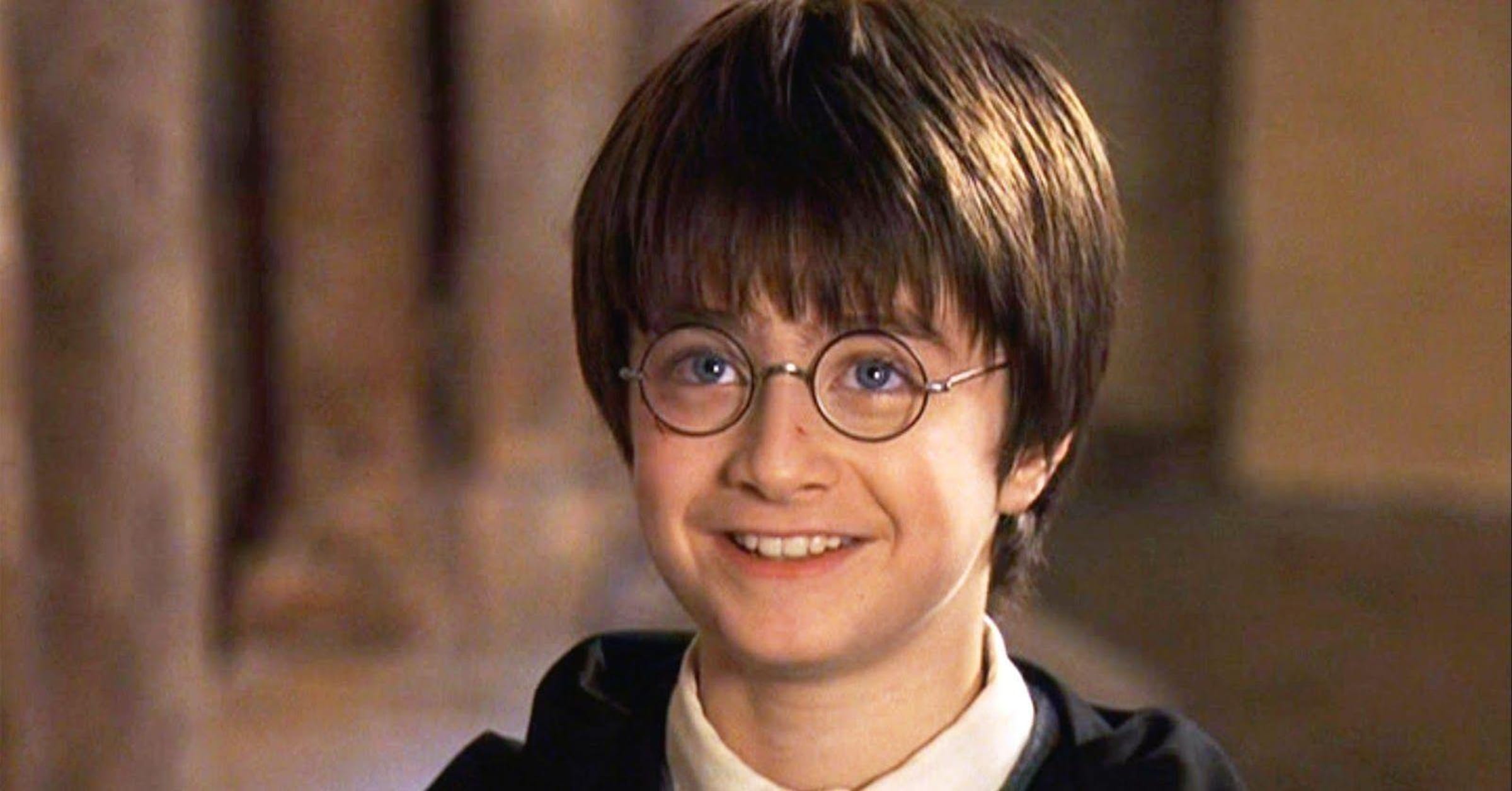 My DND - Harry Potter Horcrux Theory