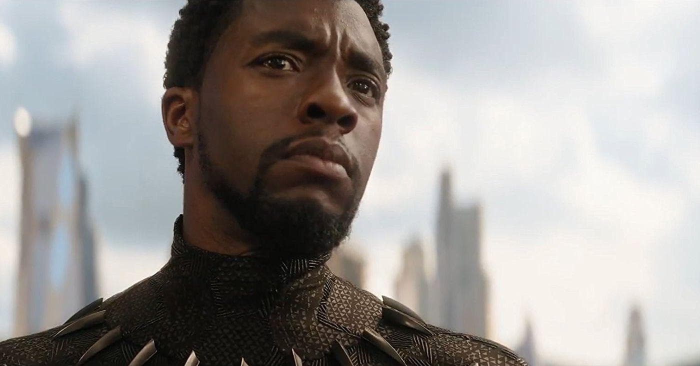 Black Panther's Best Quotes From MCU Movies, Ranked By Fans