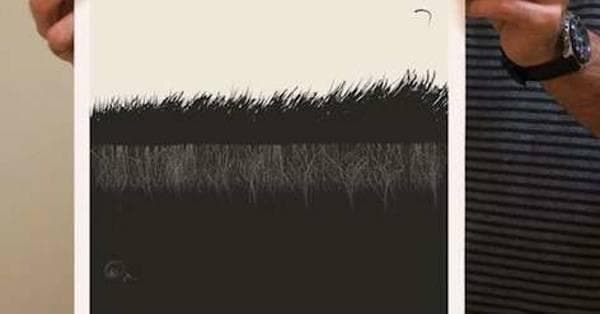 Literature Quotes | Best Famous Quotations About Literature