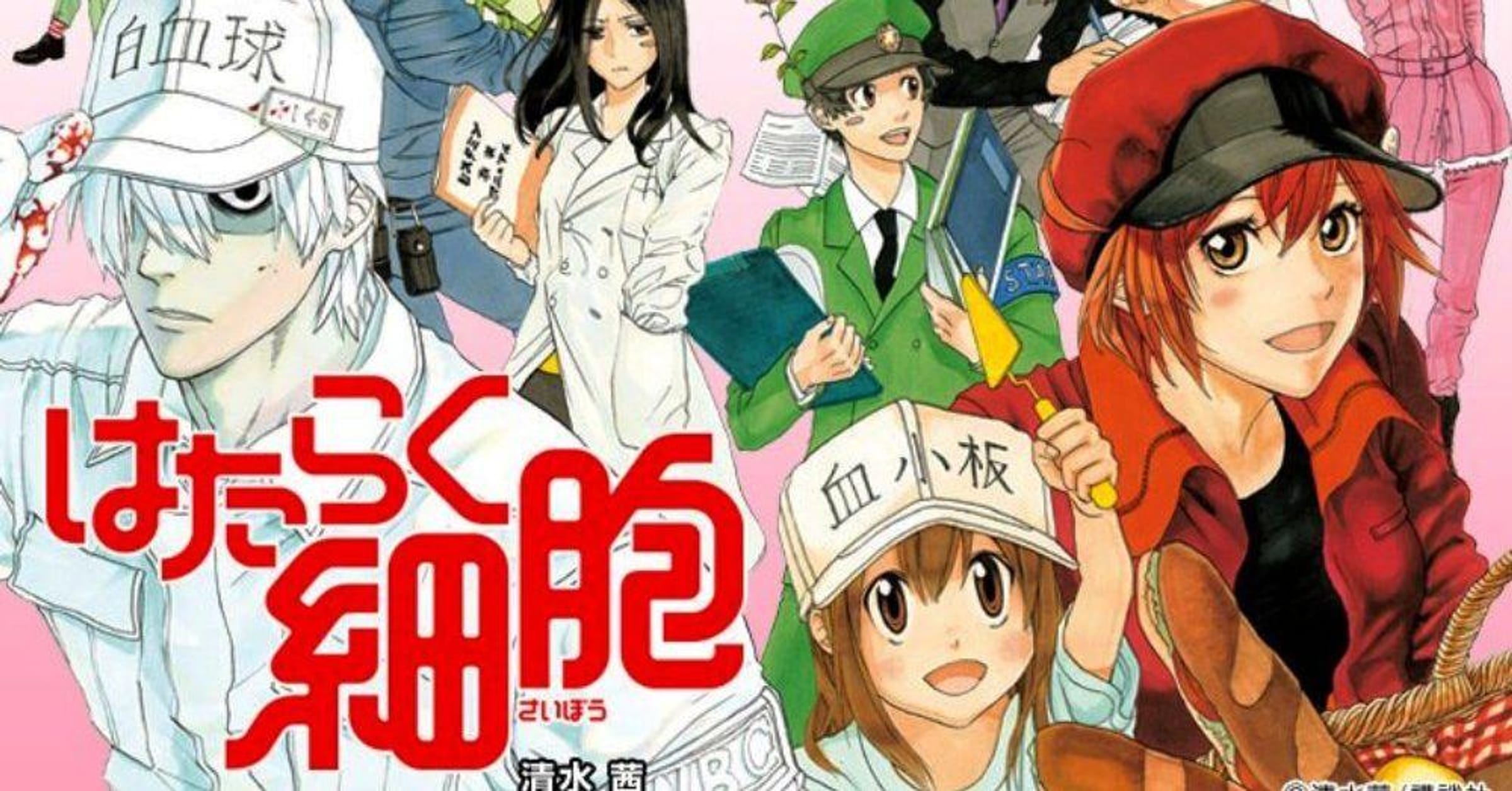 Cells At Work & 9 Other Scientific Anime You Might Like