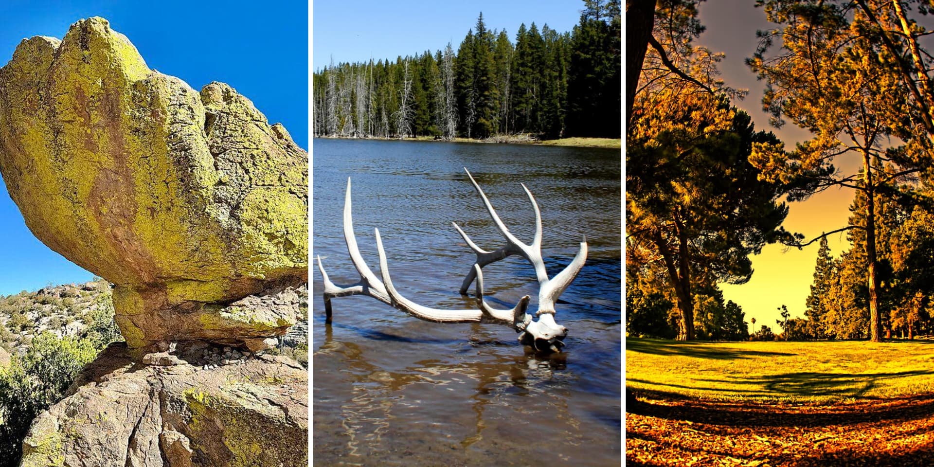The Creepiest True Crime Cases In US National Parks
