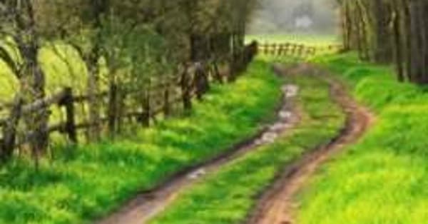 Nature Quotes | Best Famous Quotations About Nature