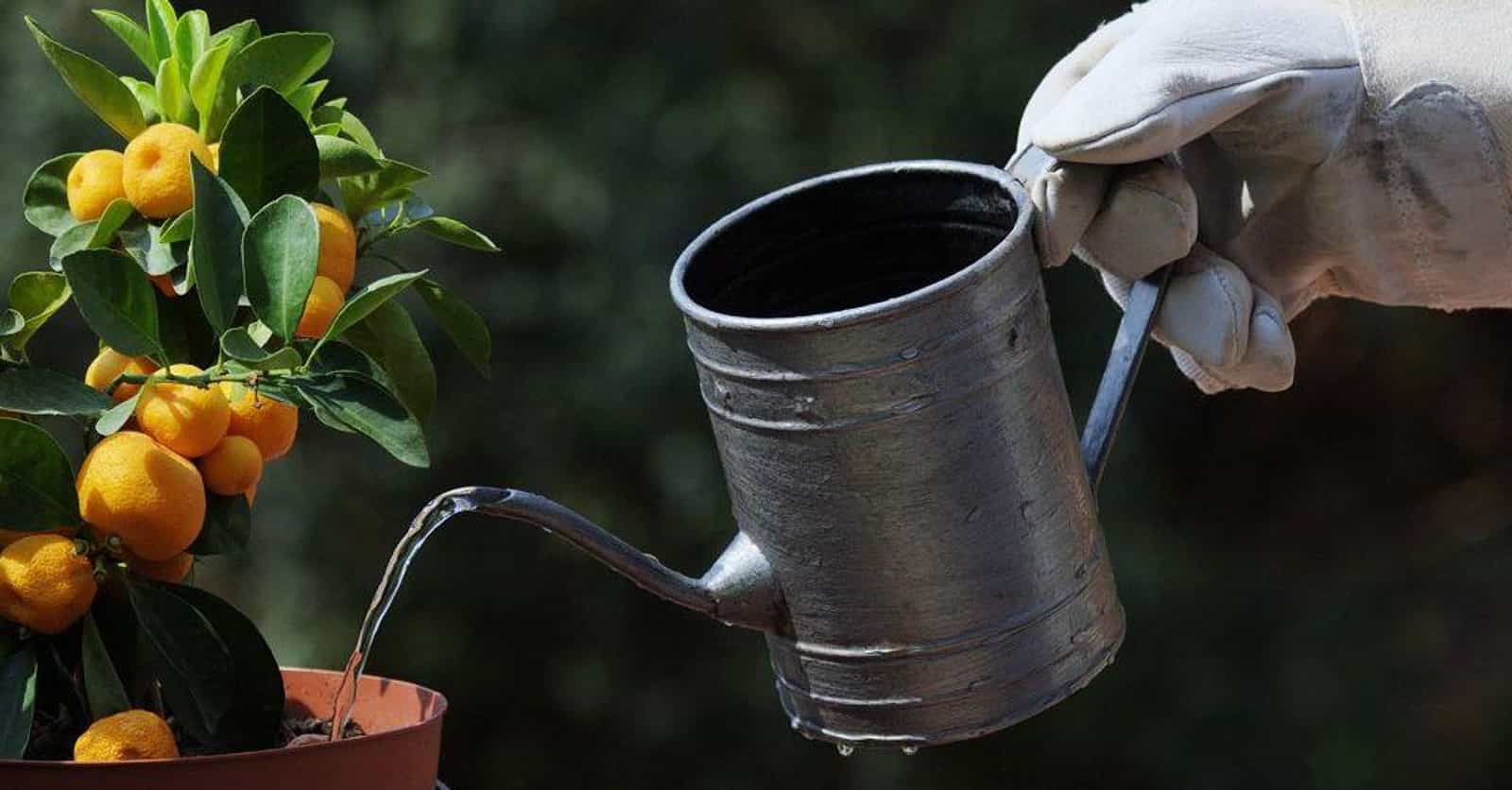 24 Tools And Accessories To Keep Your Garden Blooming