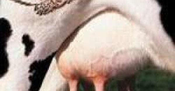 1993 Billboard Number Ones List of All US 1 Albums