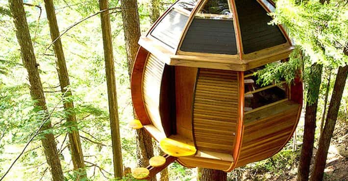 Coolest Treehouses on Plane...