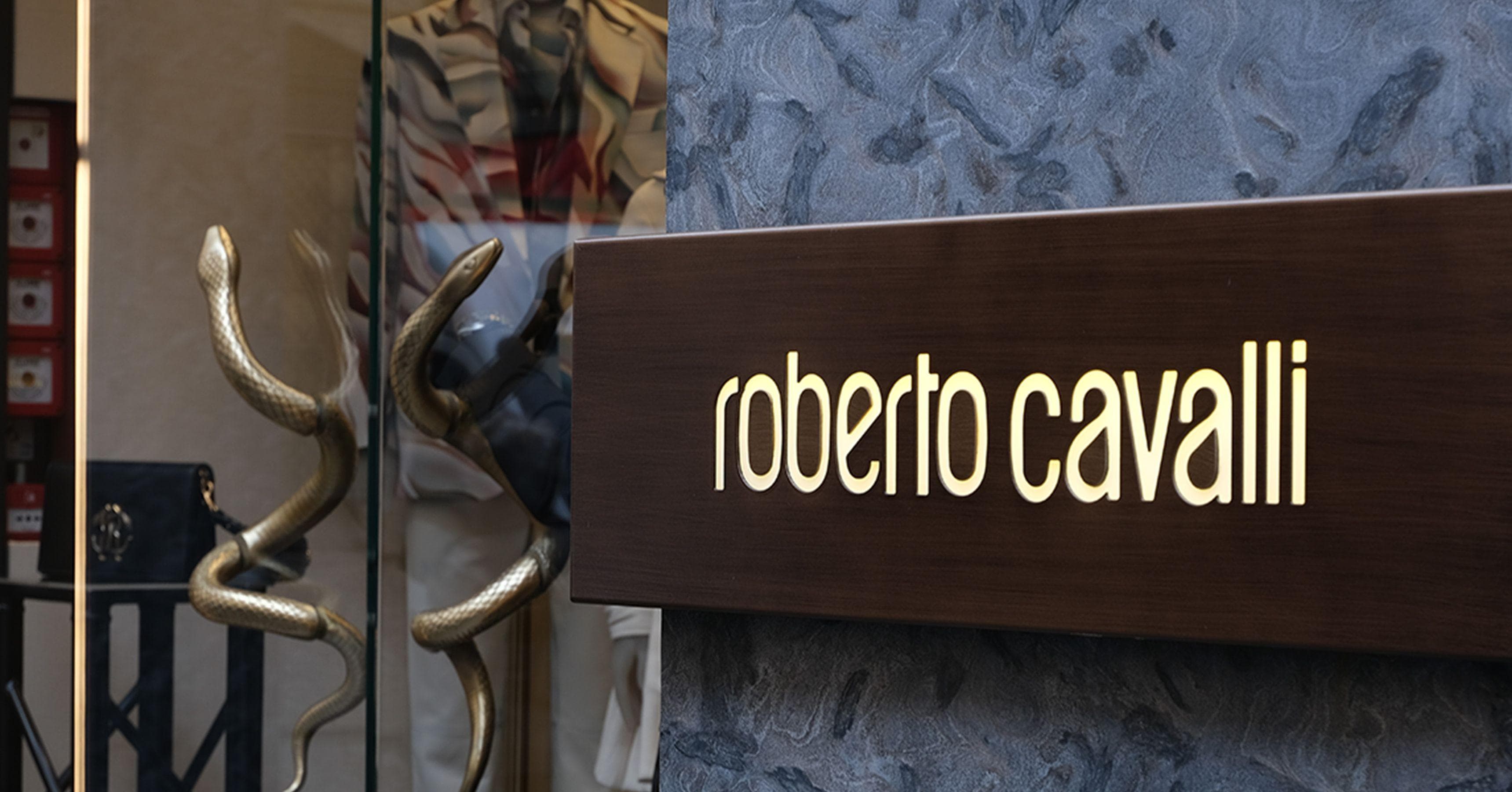 Roberto Cavalli Celebrities | List of Famous People Who Wear Roberto ...