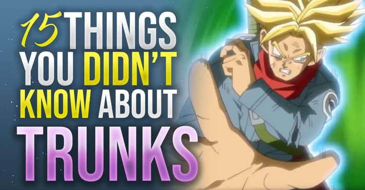 Things You Didn't Know About Trunks