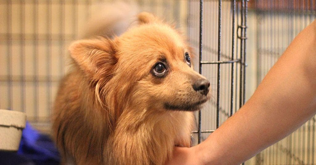 12 Historical Facts We Just Learned This Week That Made Us Say 'Really?'