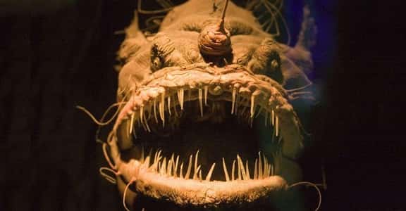 The Creepy Creatures Who Live In The Mariana Trench