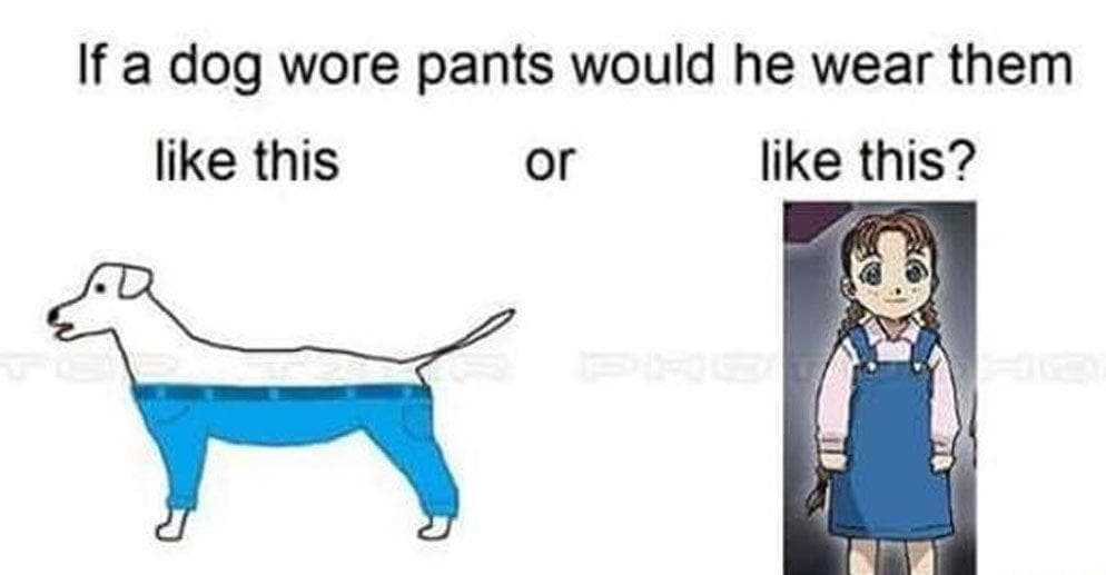 25 Hilarious Nina Tucker Memes From Full Metal Alchemist