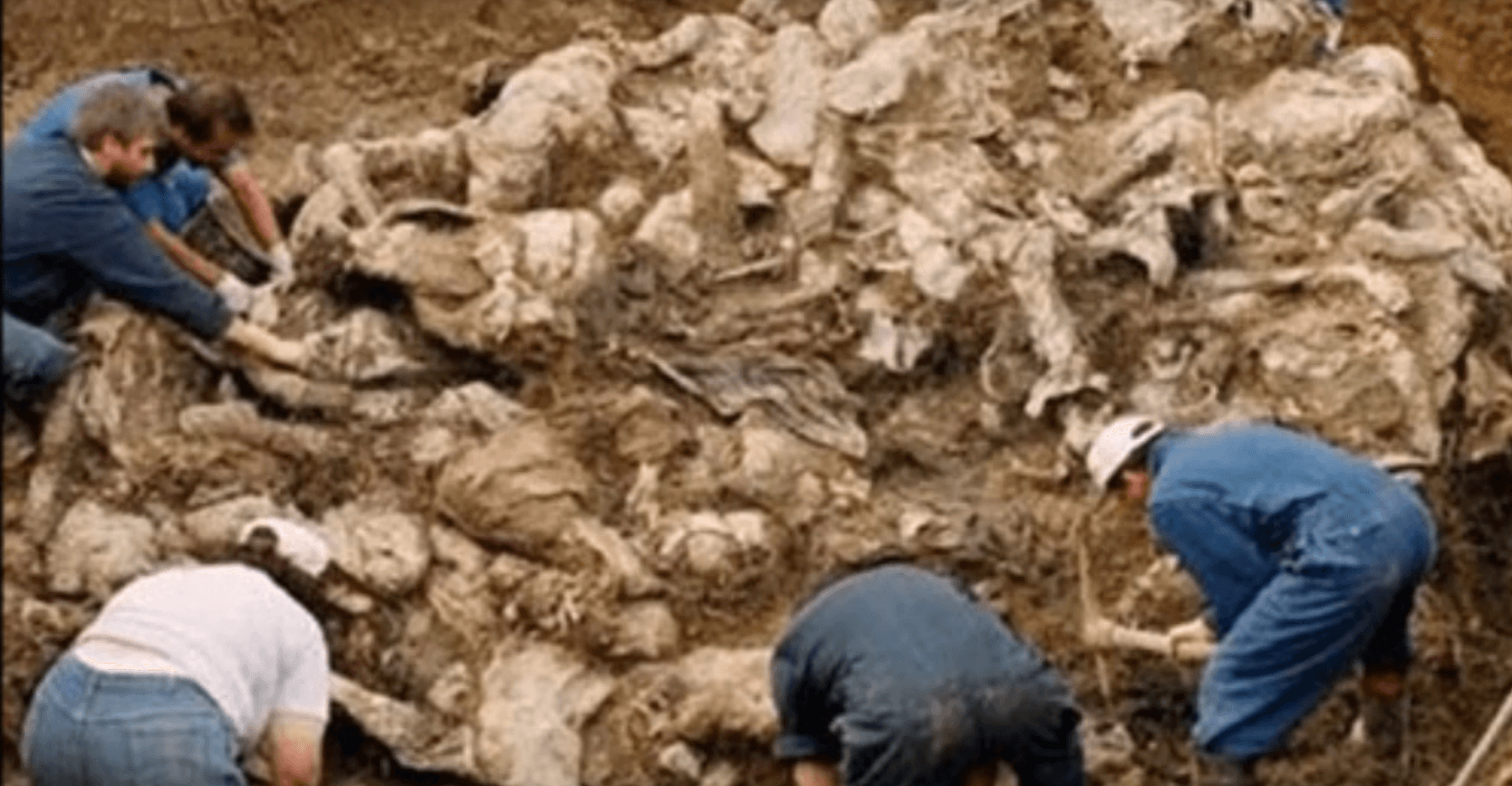 12 Newly Unearthed Mass Graves That Hid Horrific Secrets - Ranker