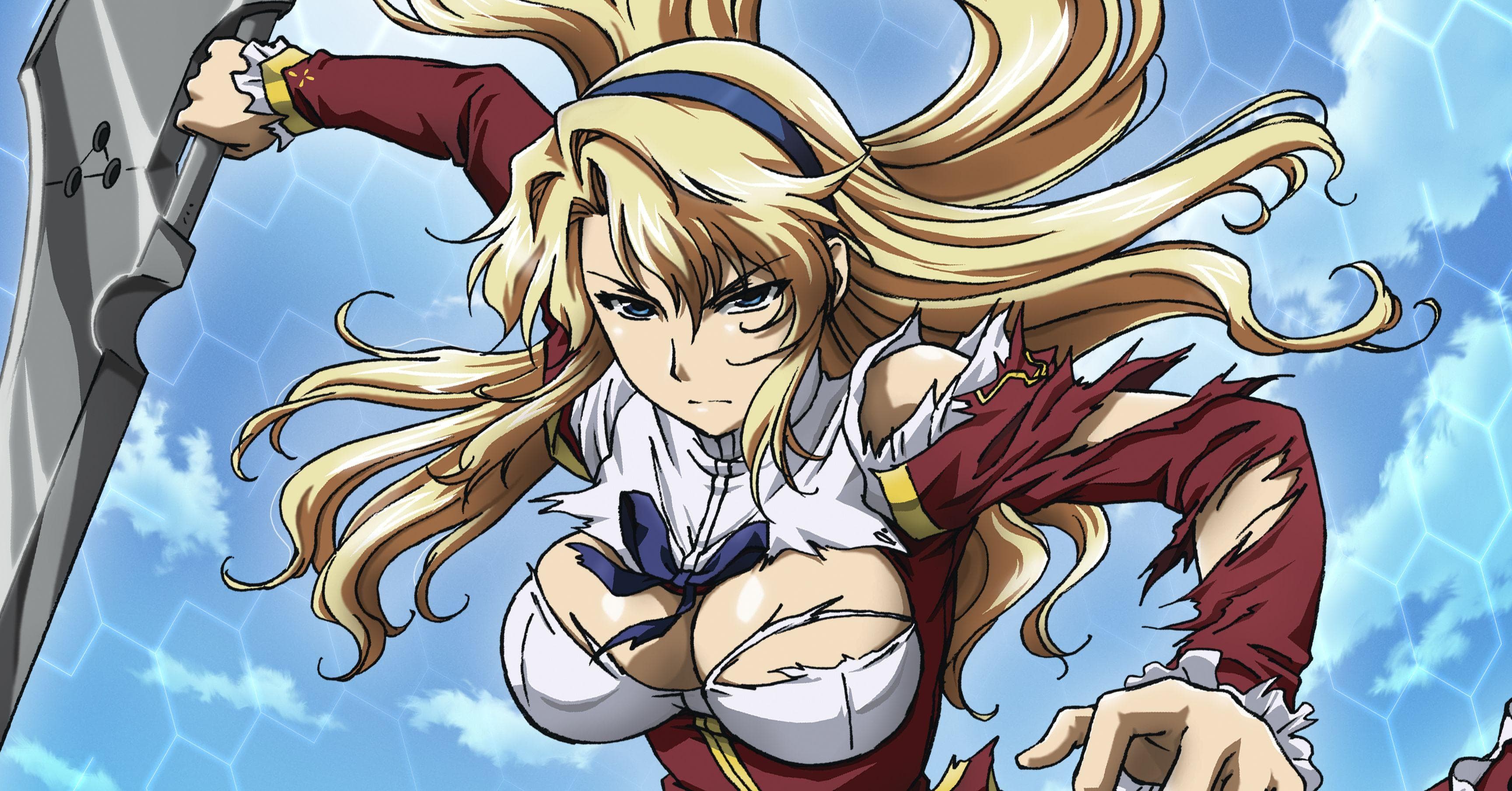 Anime Like Shin Ikki Tousen