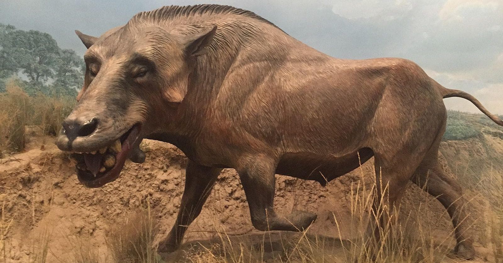 prehistoric predators killer pig