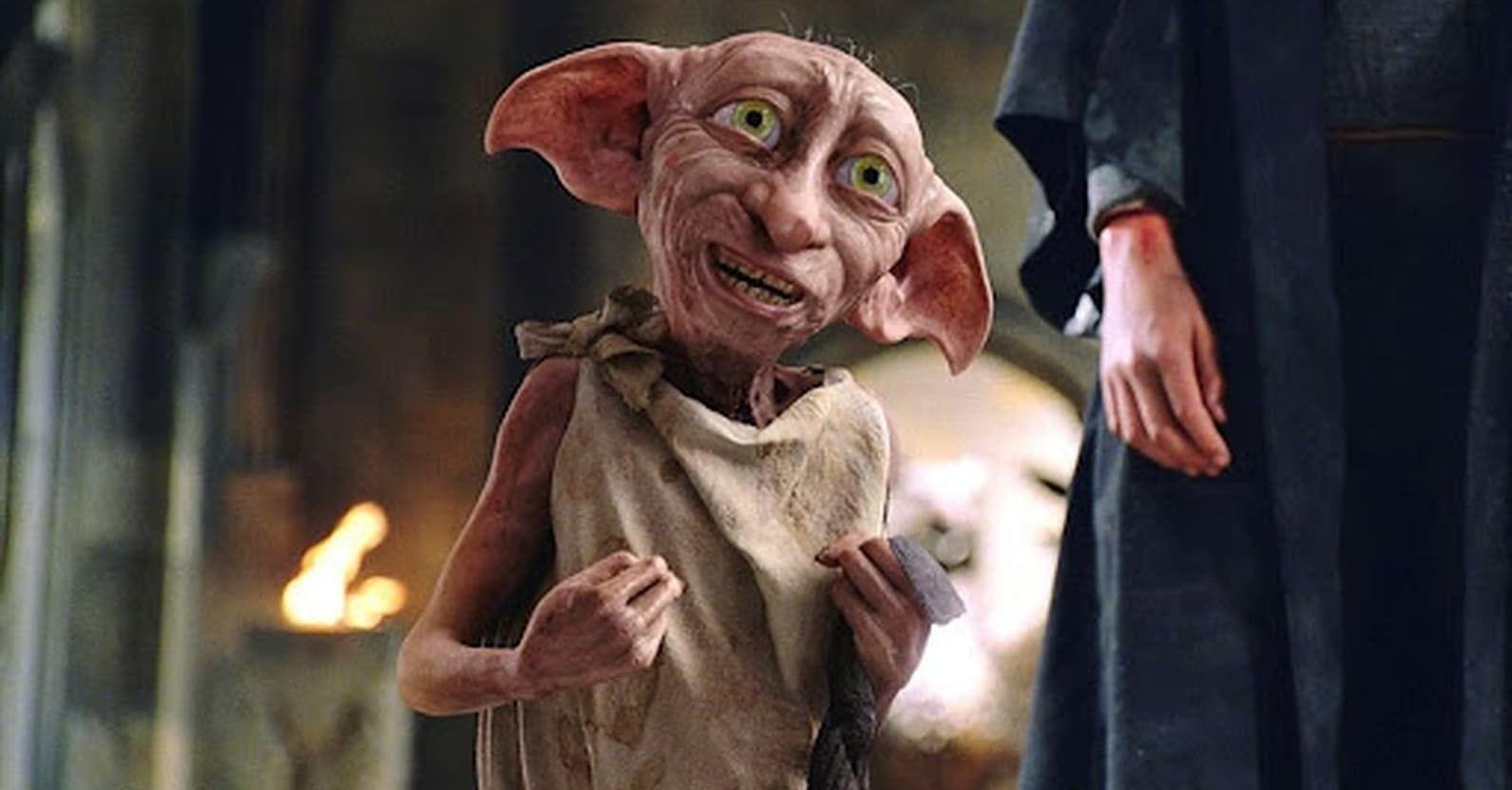 Dobby 2025 the elf