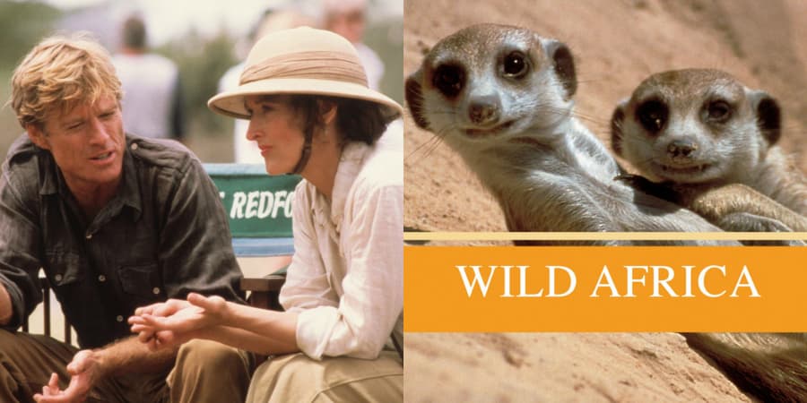 125+ Movies And Shows With Africa In The Title