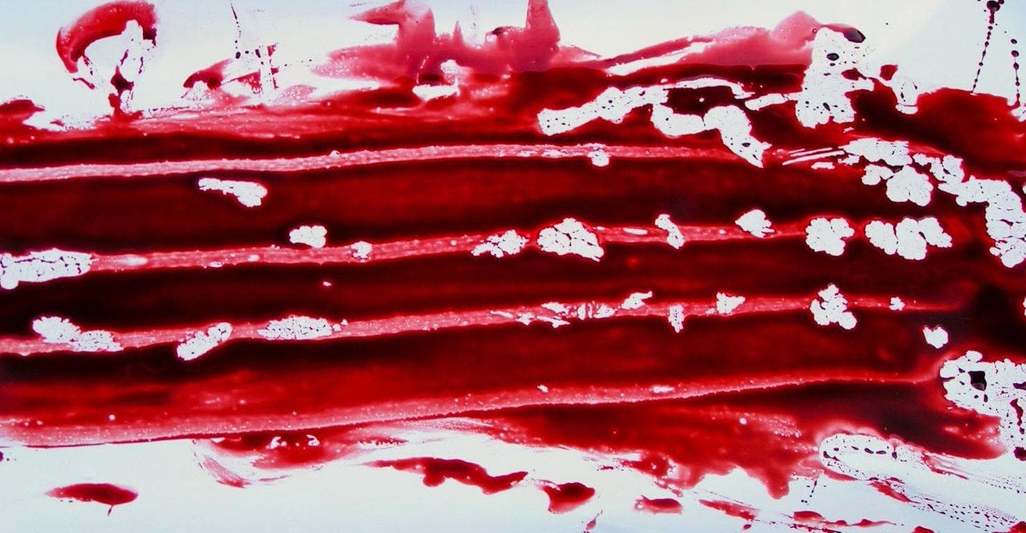 лицевой летописный свод ивана розного оригинал