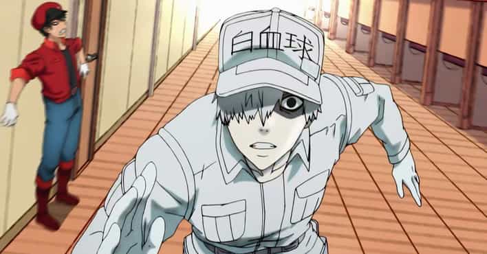 10 Anime To Watch If You Liked Cells At Work