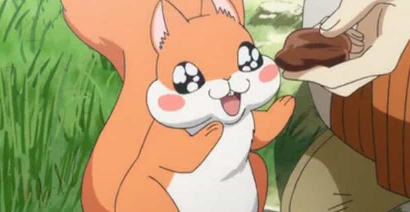 The 15+ Best Anime Squirrel Characters