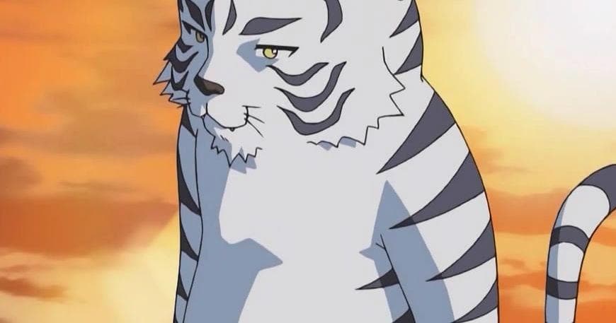 The 15+ Best Anime Tiger Characters