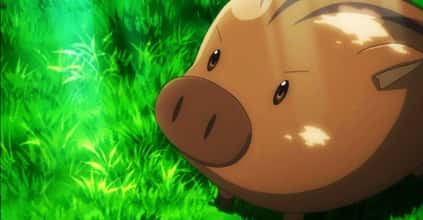 The Best Anime Pig Characters