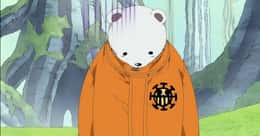 The Best Bear Anime Characters