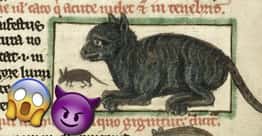 People In The Middle Ages Hated Cats So Much That They Ritualistically Tortured Them