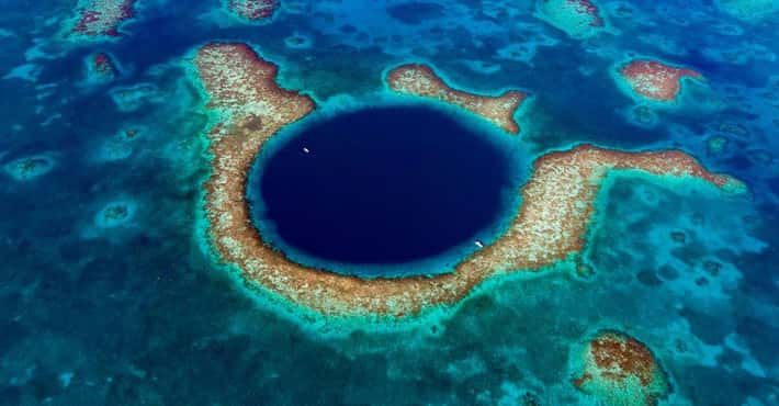 The Blue Holes of the Bahamas