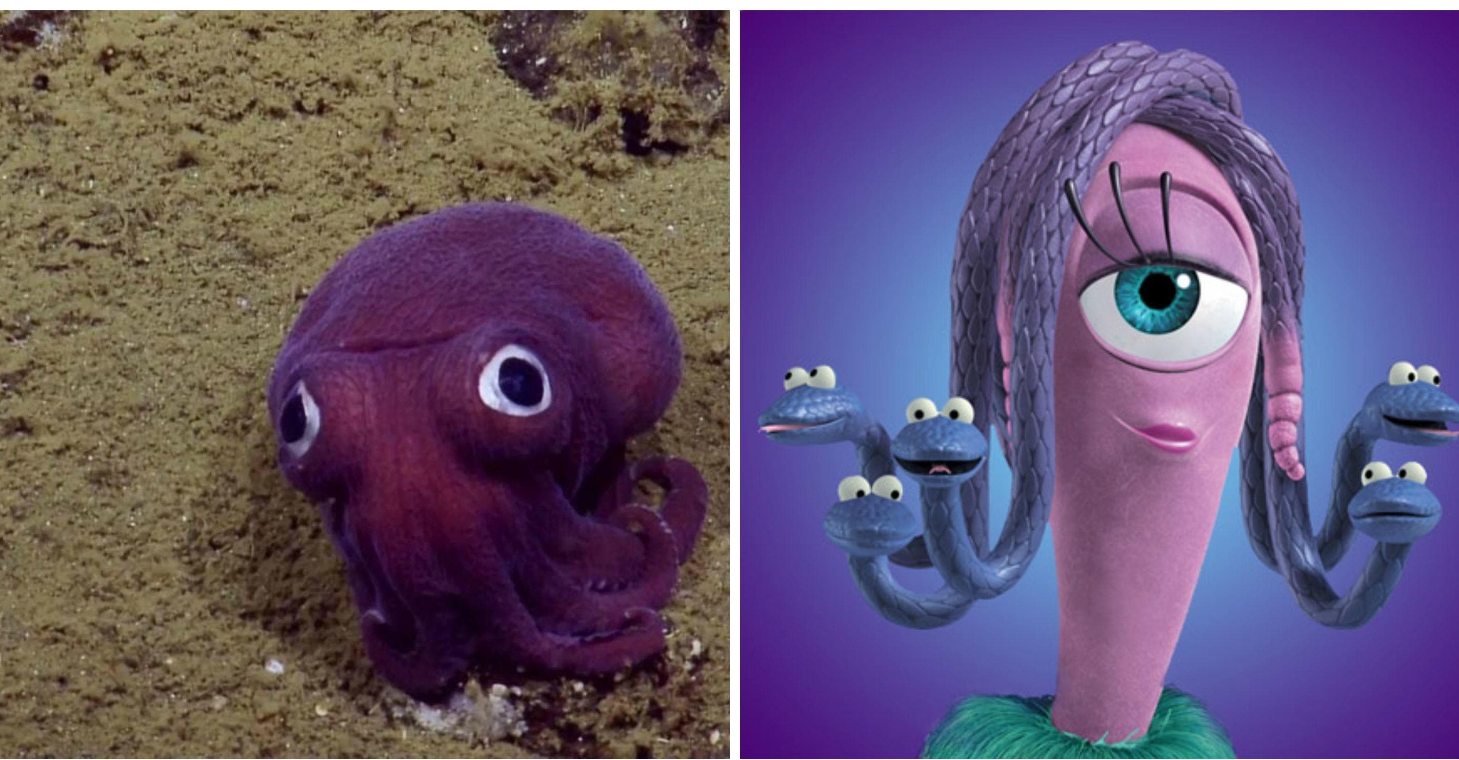 17 Sea Creatures That Totally Look Like Cartoon Characters