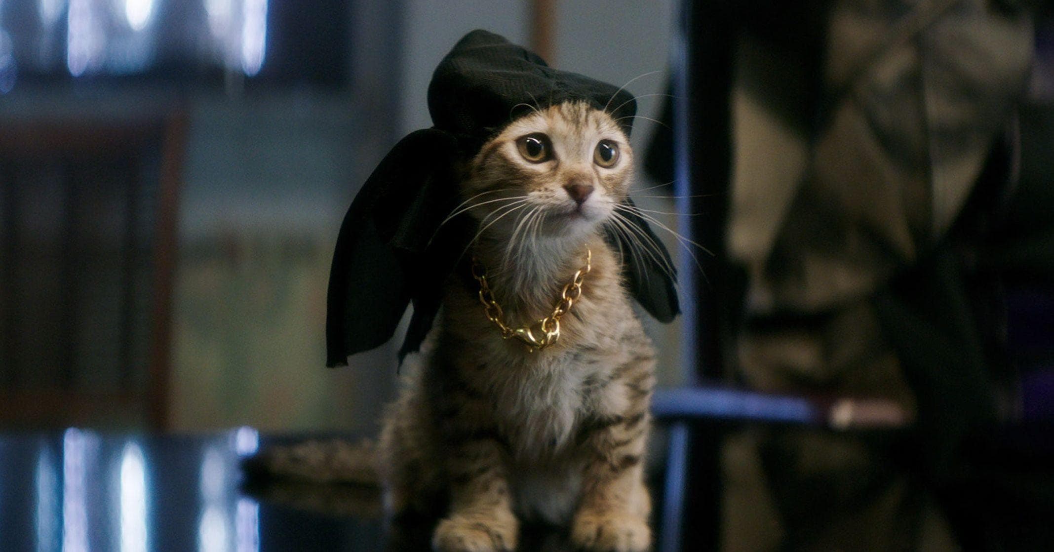 23 Major Stars Who Made Voice-Only Movie Cameos