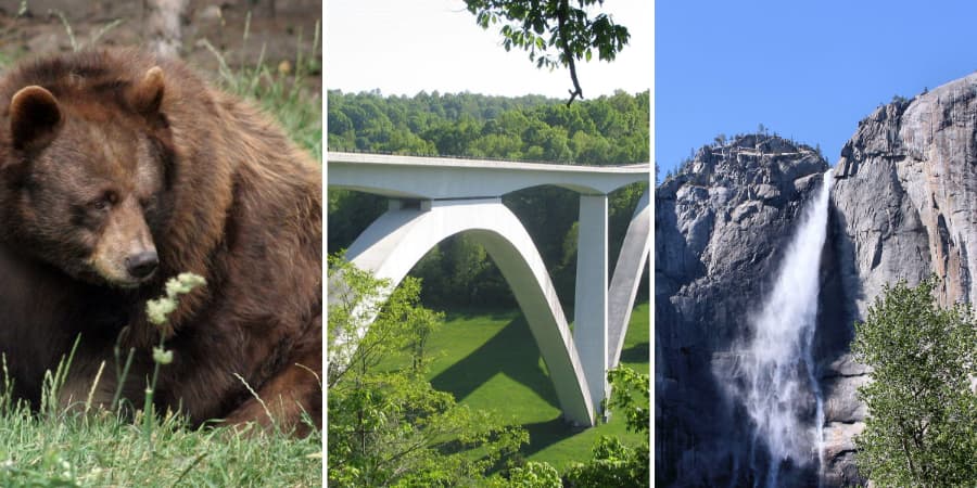 The Top Causes Of Death In US National Parks, By The Numbers