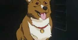 The Best Animal Characters in Anime