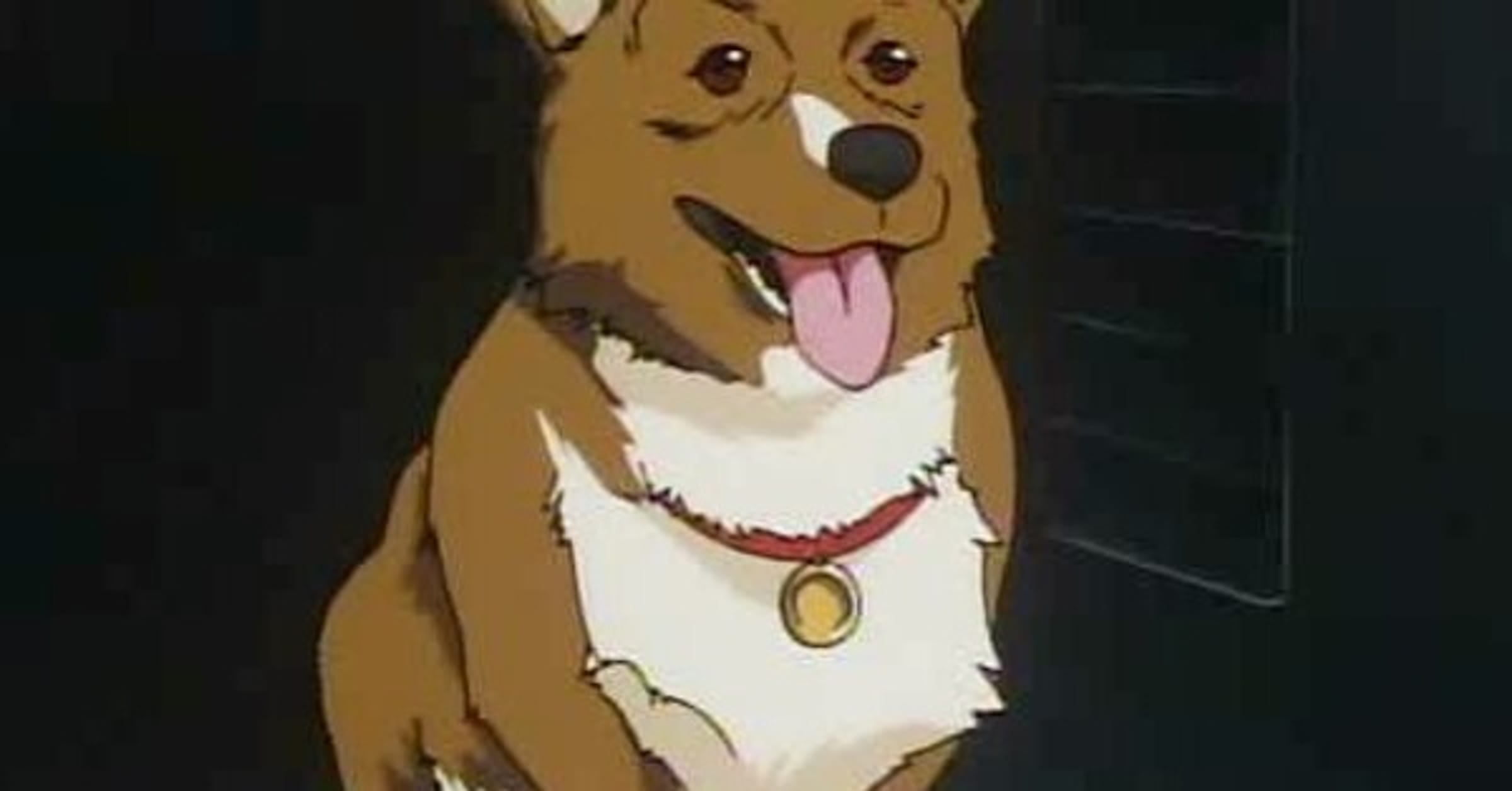 Momo's Dog — Anime